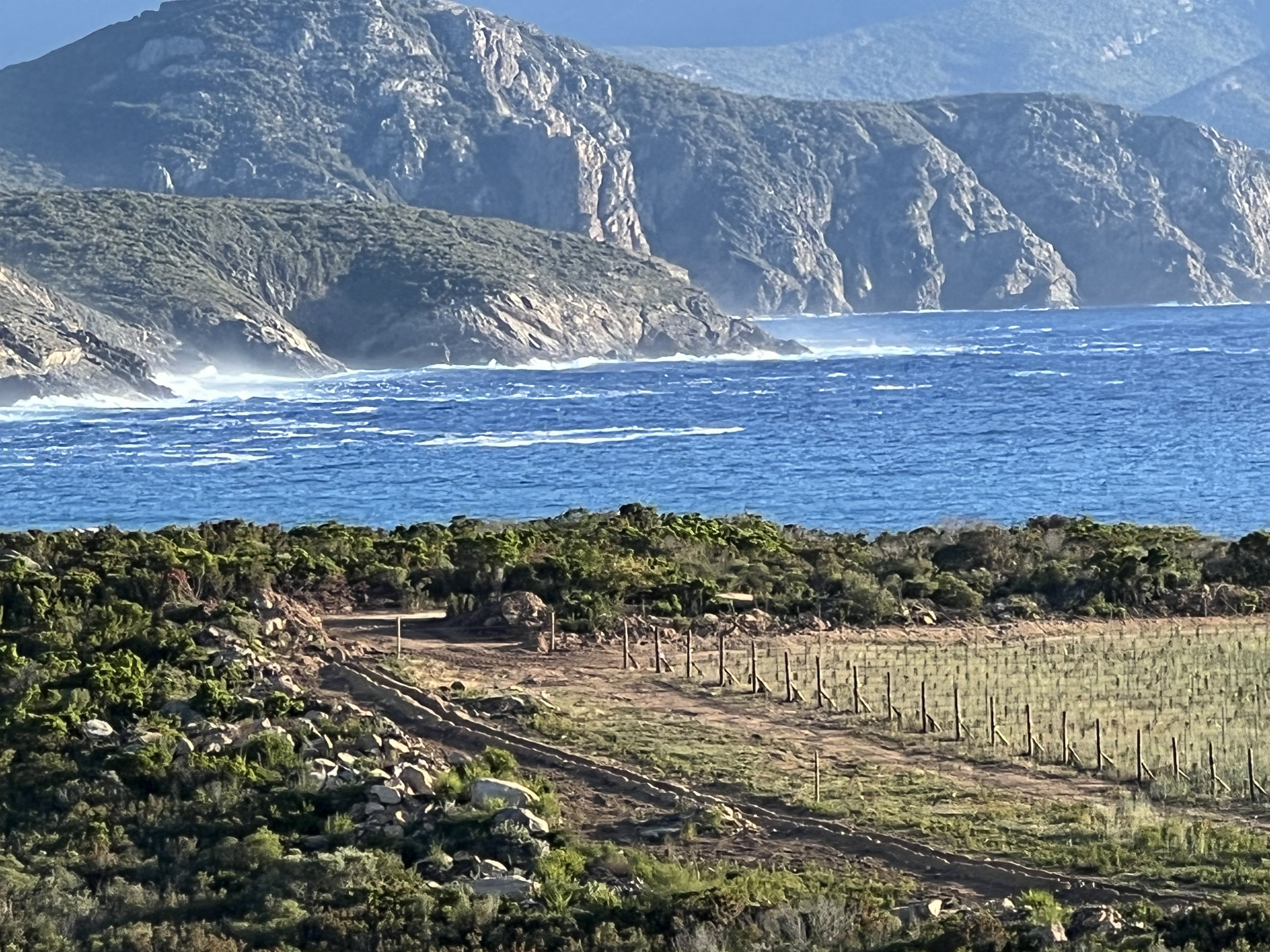 Terroir — Domaine Prince Pierre Napoléon Bonaparte